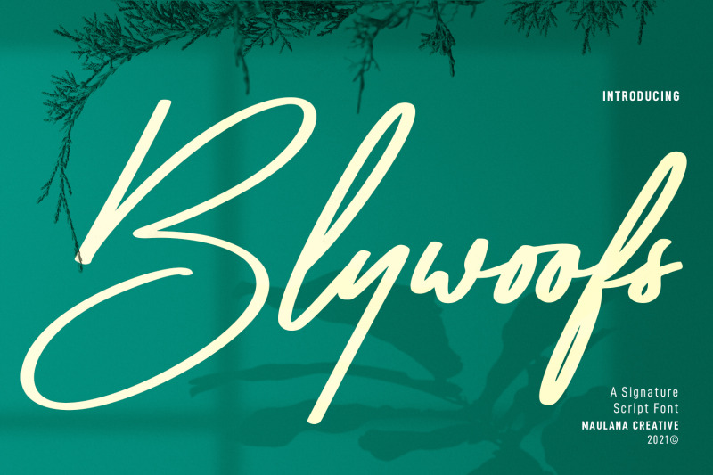 blywoofs-signature-font