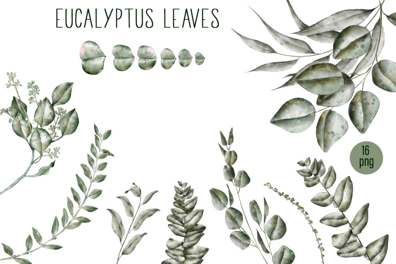 watercolor-greenery-eucalyptus-clipart
