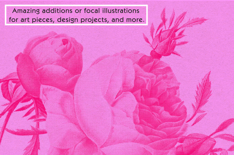the-massive-floral-halftone-illustration-pack