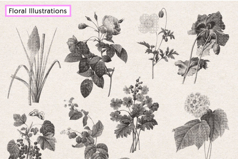 the-massive-floral-halftone-illustration-pack
