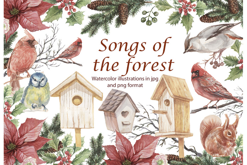songs-of-the-forest