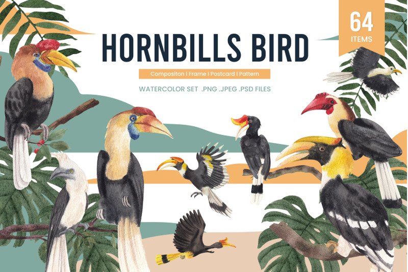 hornbills-bird-watercolor