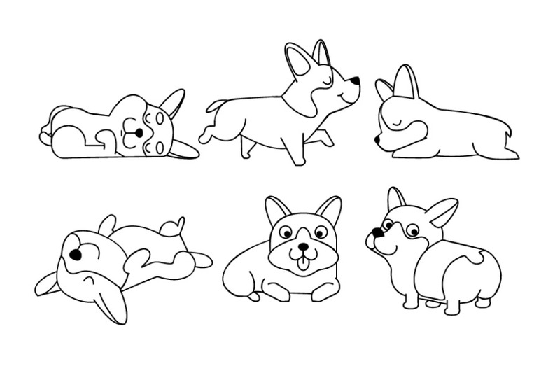 cute-cartoon-character-corgi-dog