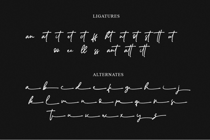 rantang-modern-amp-elegant-signature-type