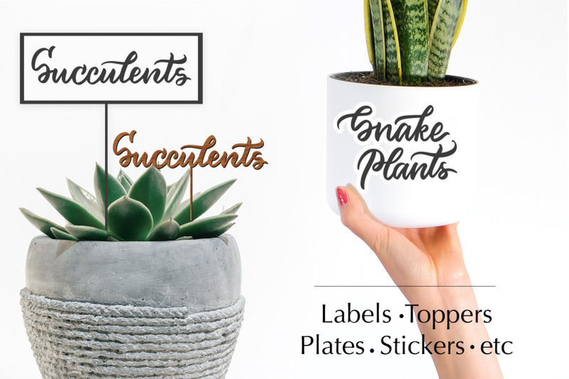 house-plants-lettering-set