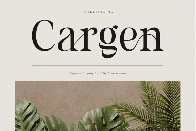 cargen-elegant-ligature-serif