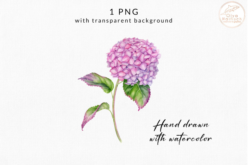 watercolor-hydrangea-clipart-pink-flower-sublimation-png-file