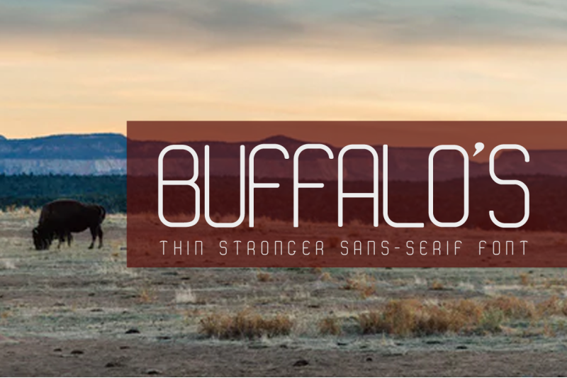 buffalo-039-s