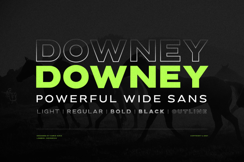 downey-powerful-wide-sans