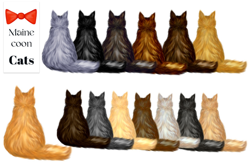 cats-clipart-back-of-cat