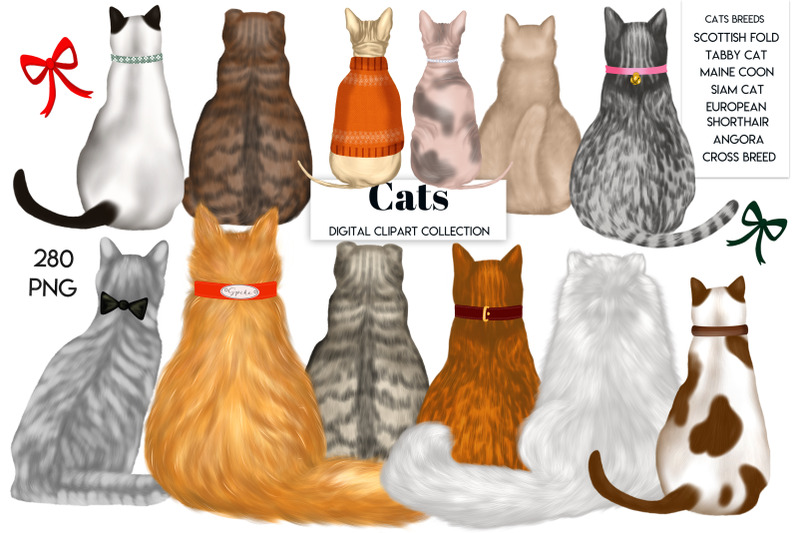 cats-clipart-back-of-cat