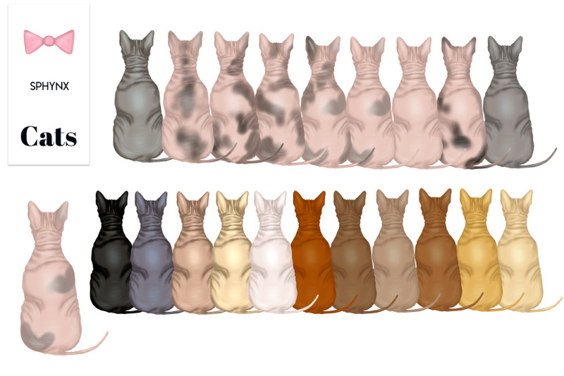 cats-clipart-back-of-cat