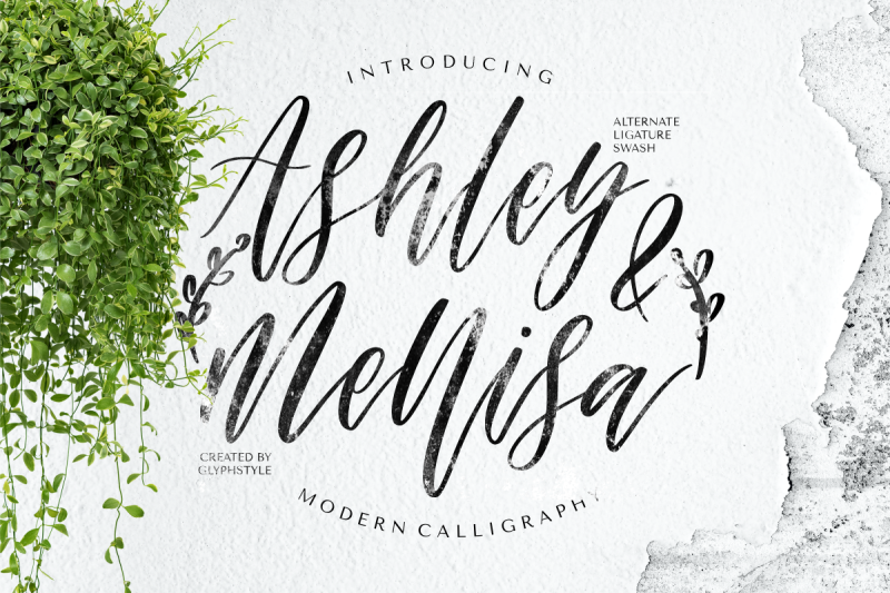 ashley-amp-mellisa-modern-calligraphy