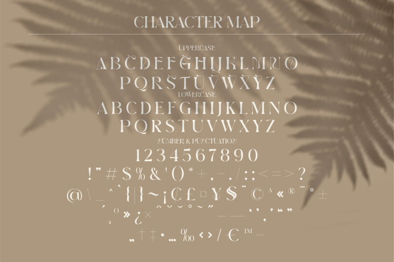 brow-volky-typeface