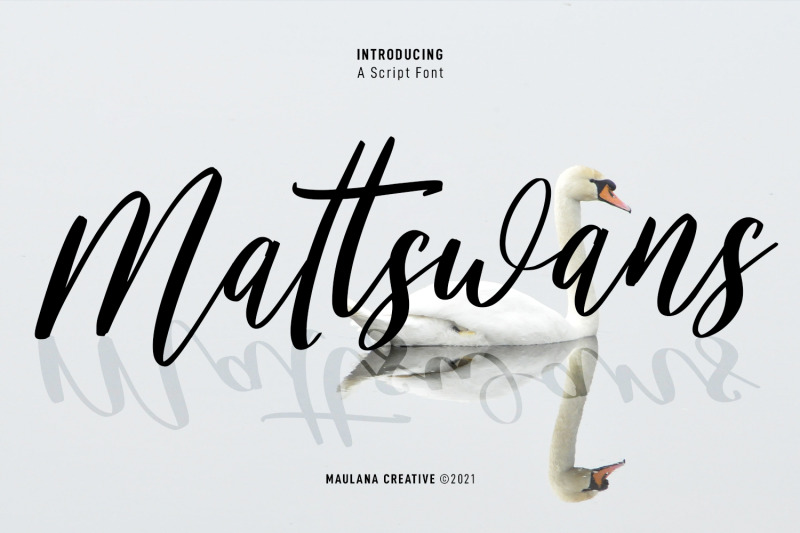 mattswans-script-font