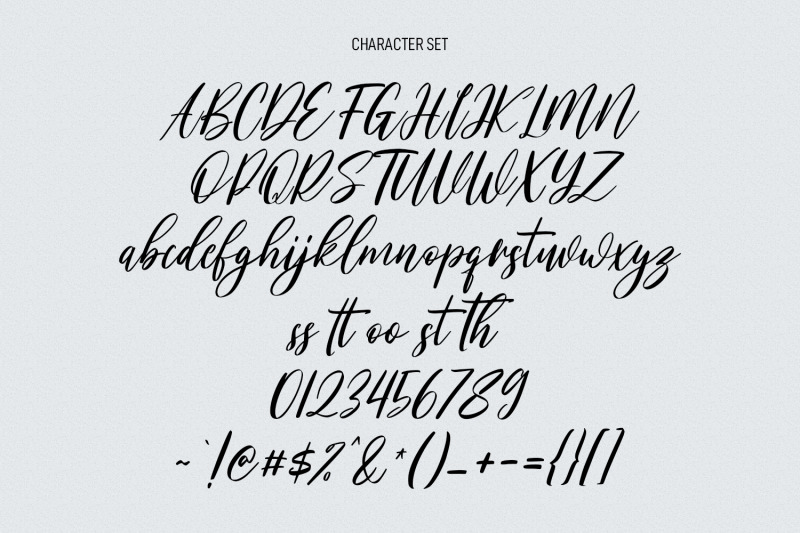 mattswans-script-font