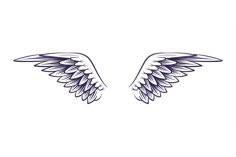 wing-hand-drawn-angel-wings-with-feathers-sketch-style-elements-for