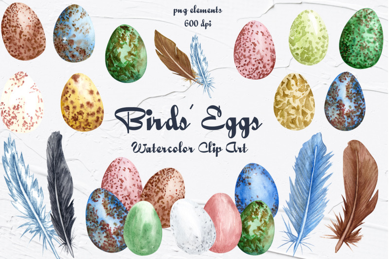 birds-039-eggs-watercolor-clipart