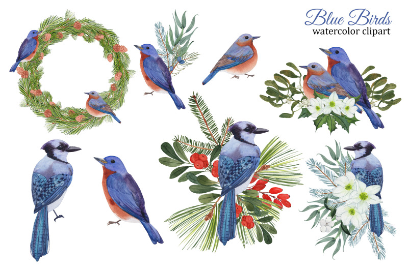blue-birds-and-winter-bouquets-christmas-watercolor-clipart-png
