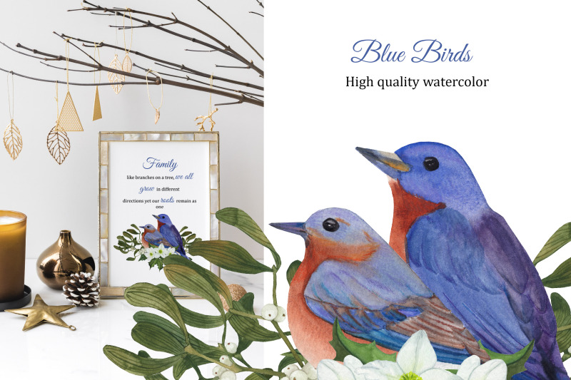 blue-birds-and-winter-bouquets-christmas-watercolor-clipart-png