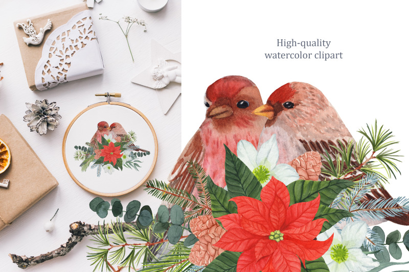 winter-birds-watercolor-clipart-christmas-png-winter-greenery-and-pl