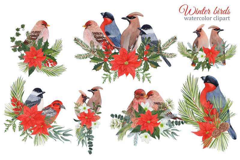 winter-birds-watercolor-clipart-christmas-png-winter-greenery-and-pl