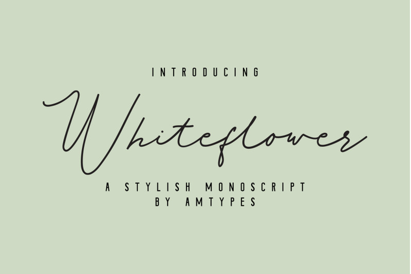 whiteflower-monoscript