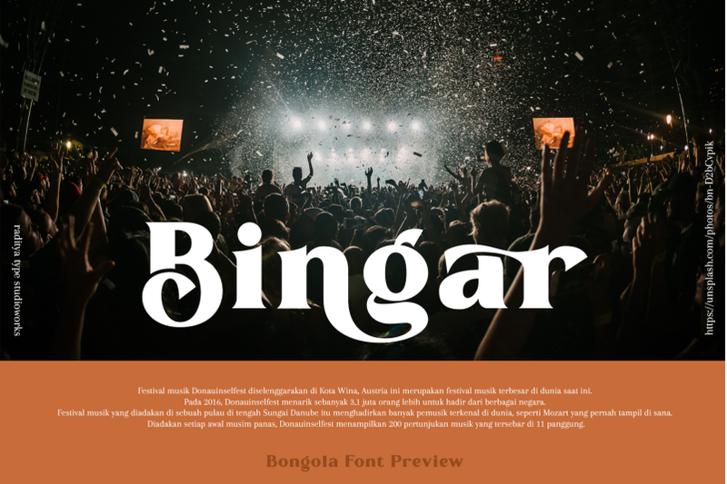 bongola-serif-display-font