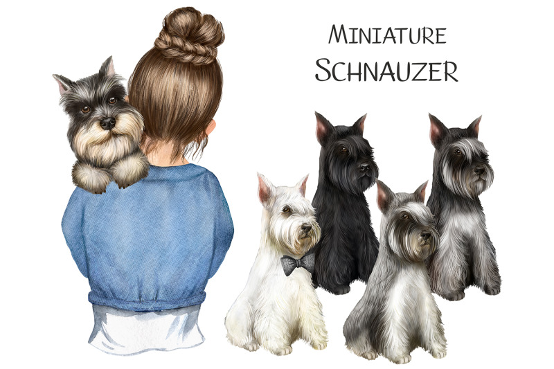 miniature-schnauzer-watercolor-animal-clipart-dog-portrait-puppy