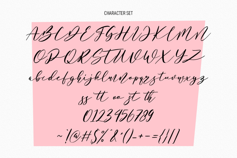 dominique-aretta-fancy-signature-script-font-duo