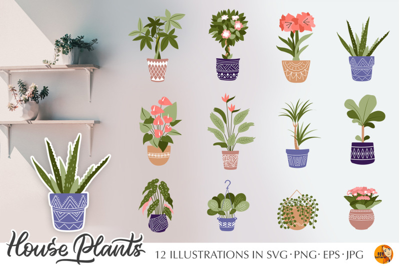 house-plants-in-pots-design-collection