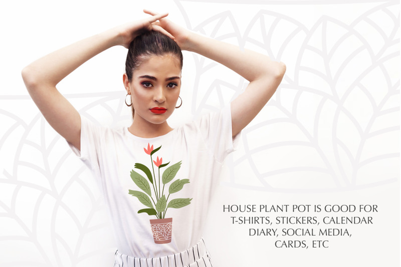 house-plants-in-pots-design-collection