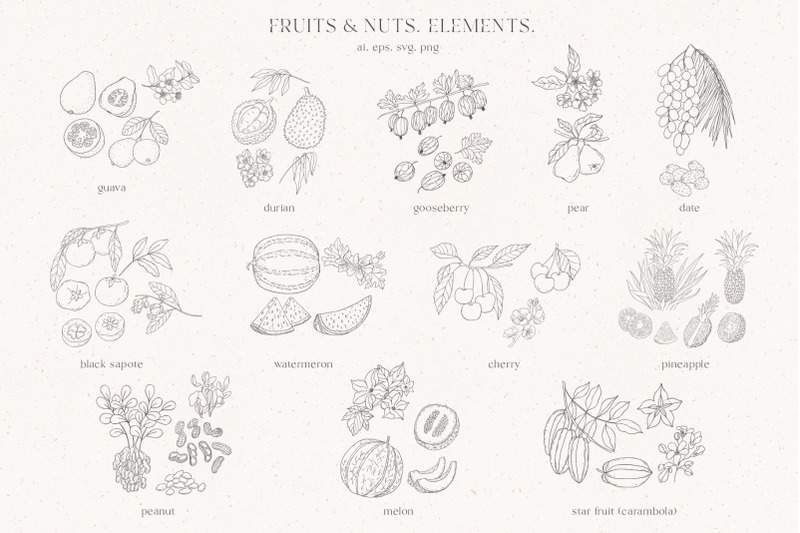 fruits-amp-flowers-nuts-amp-berries