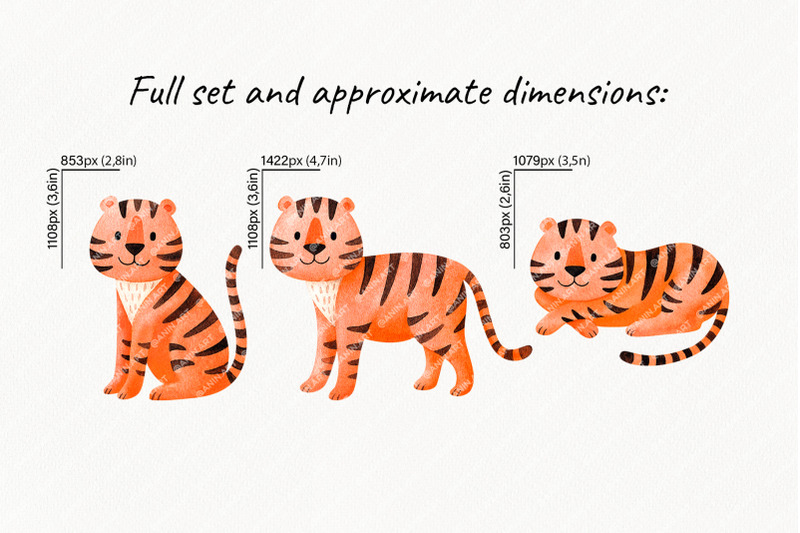 watercolor-orange-tigers-in-three-poses
