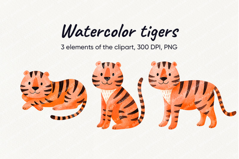 watercolor-orange-tigers-in-three-poses