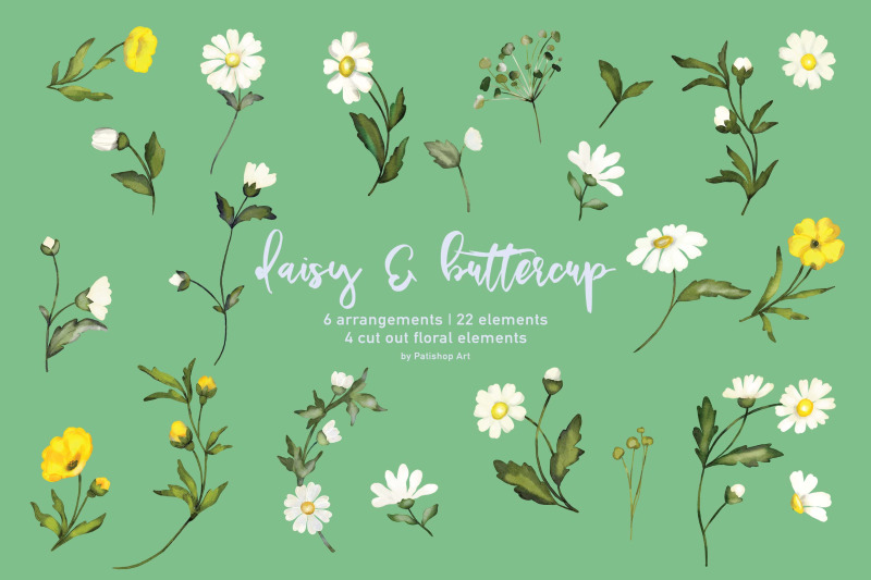 watercolor-daisy-amp-buttercup-clipart