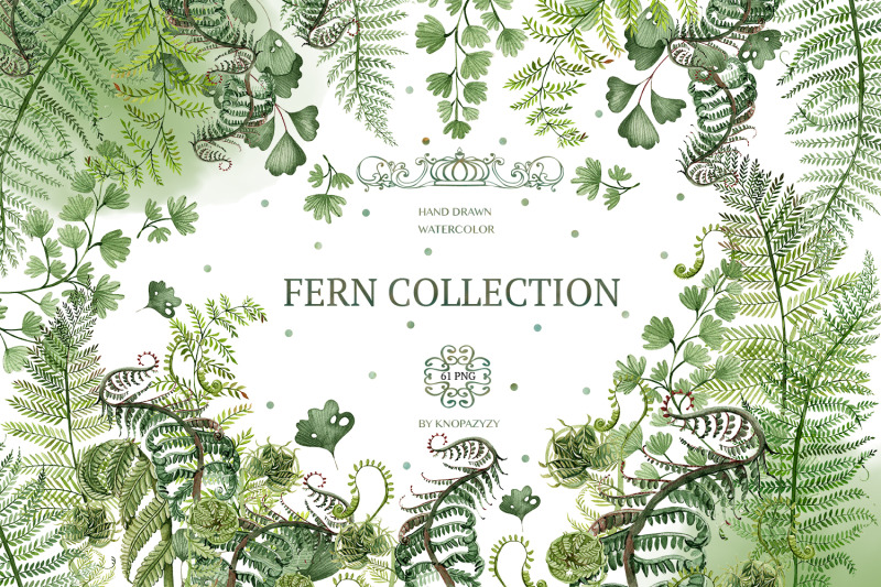 watercolor-fern-collection