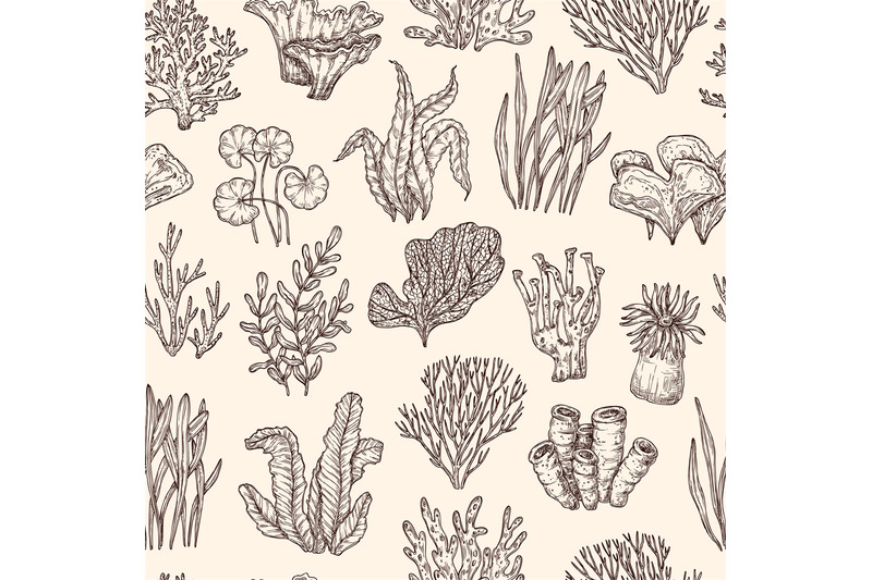 seaweed-pattern-underwater-life-seaweeds-coral-nautical-background