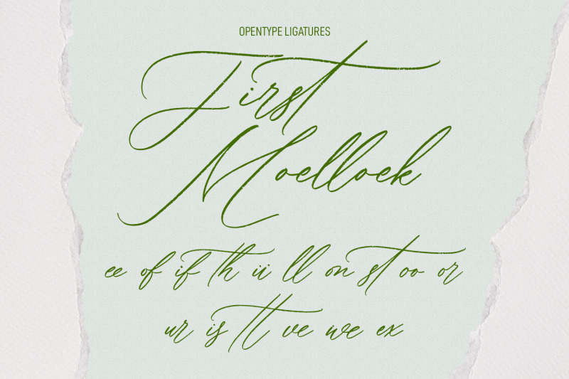 bellychestor-elegant-signature-script-font