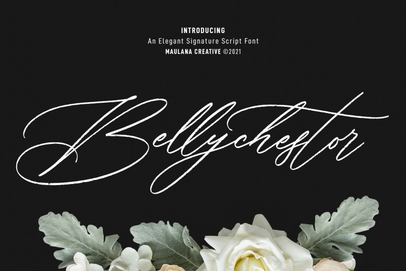 bellychestor-elegant-signature-script-font