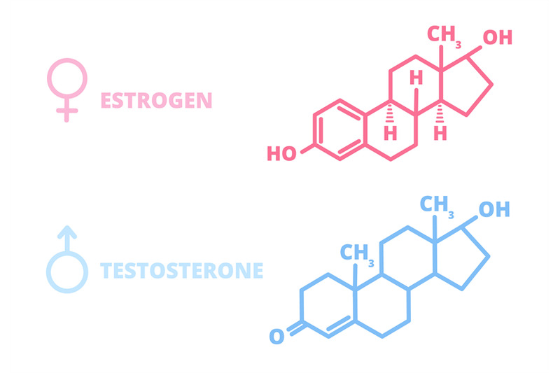 sex-hormones-laboratory-symbol-hormone-estrogen-testosterone-chemica