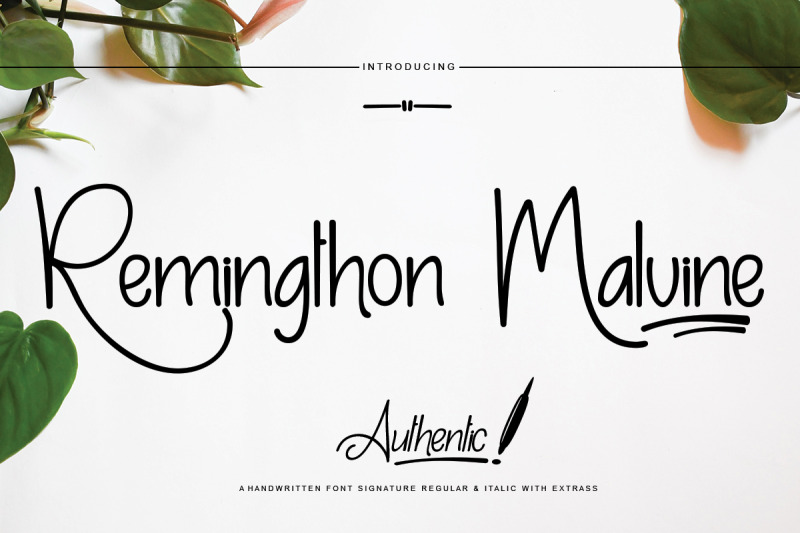 remingthon-malvine