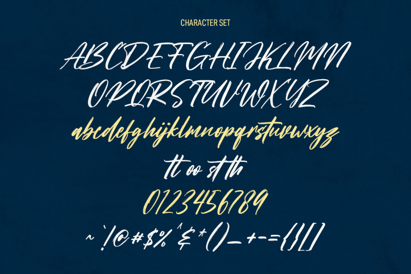 mitoda-reels-brush-script-font