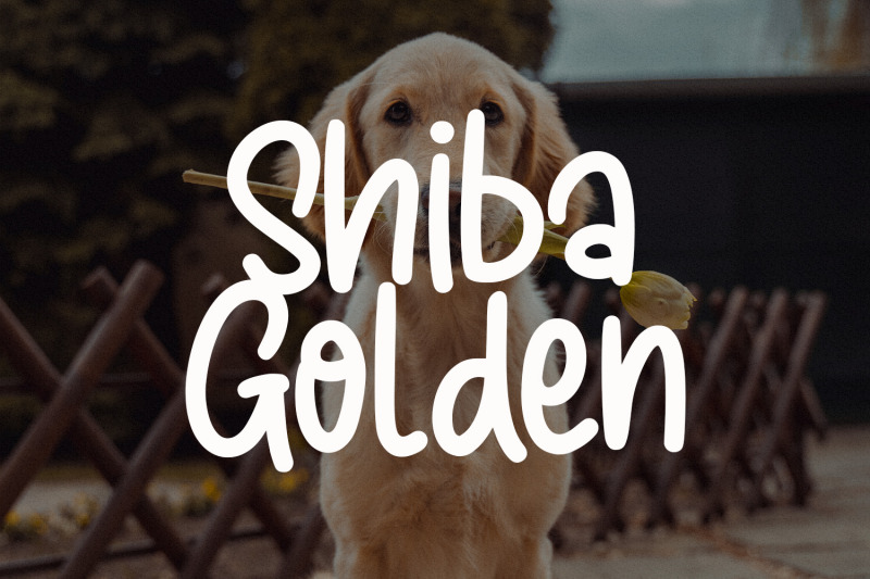 sunny-goldie-handwritten-font