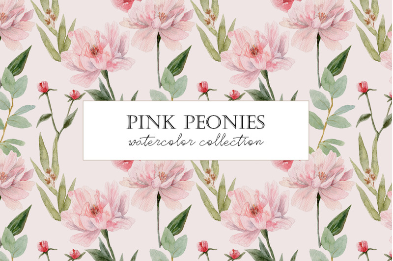 watercolor-peony-pink-peonies-patterns-and-cliparts