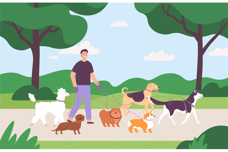 man-volunteer-character-walking-with-many-dogs-on-leash-at-park-dog-s