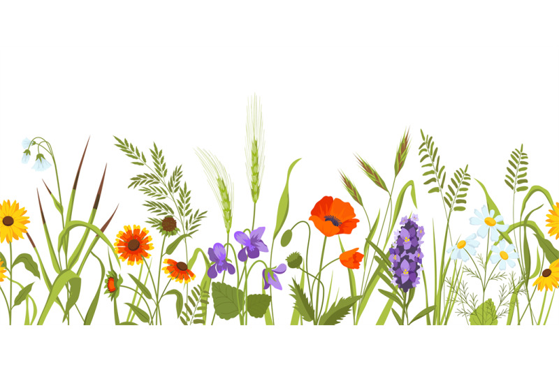 wild-meadow-with-flowers-and-herbs-spring-botanical-seamless-border