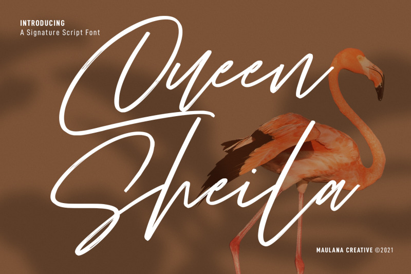 queen-sheila-signature-script-font