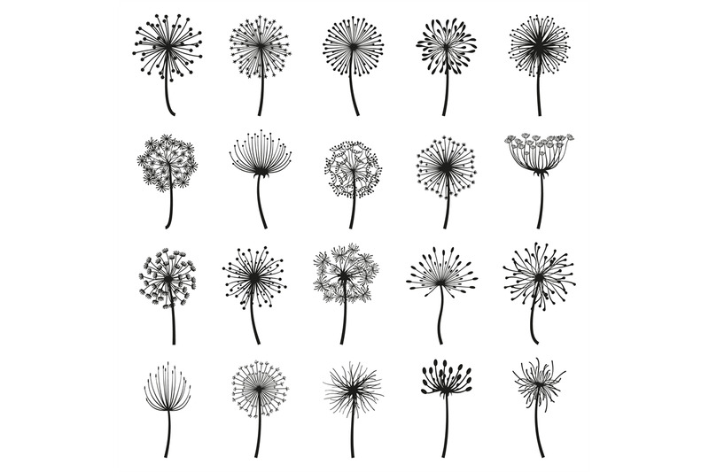 fluffy-dandelion-blowball-flowers-floral-decorative-silhouettes-dand