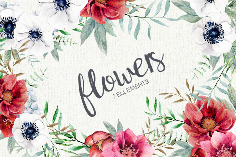 anemone-watercolor-floral-set